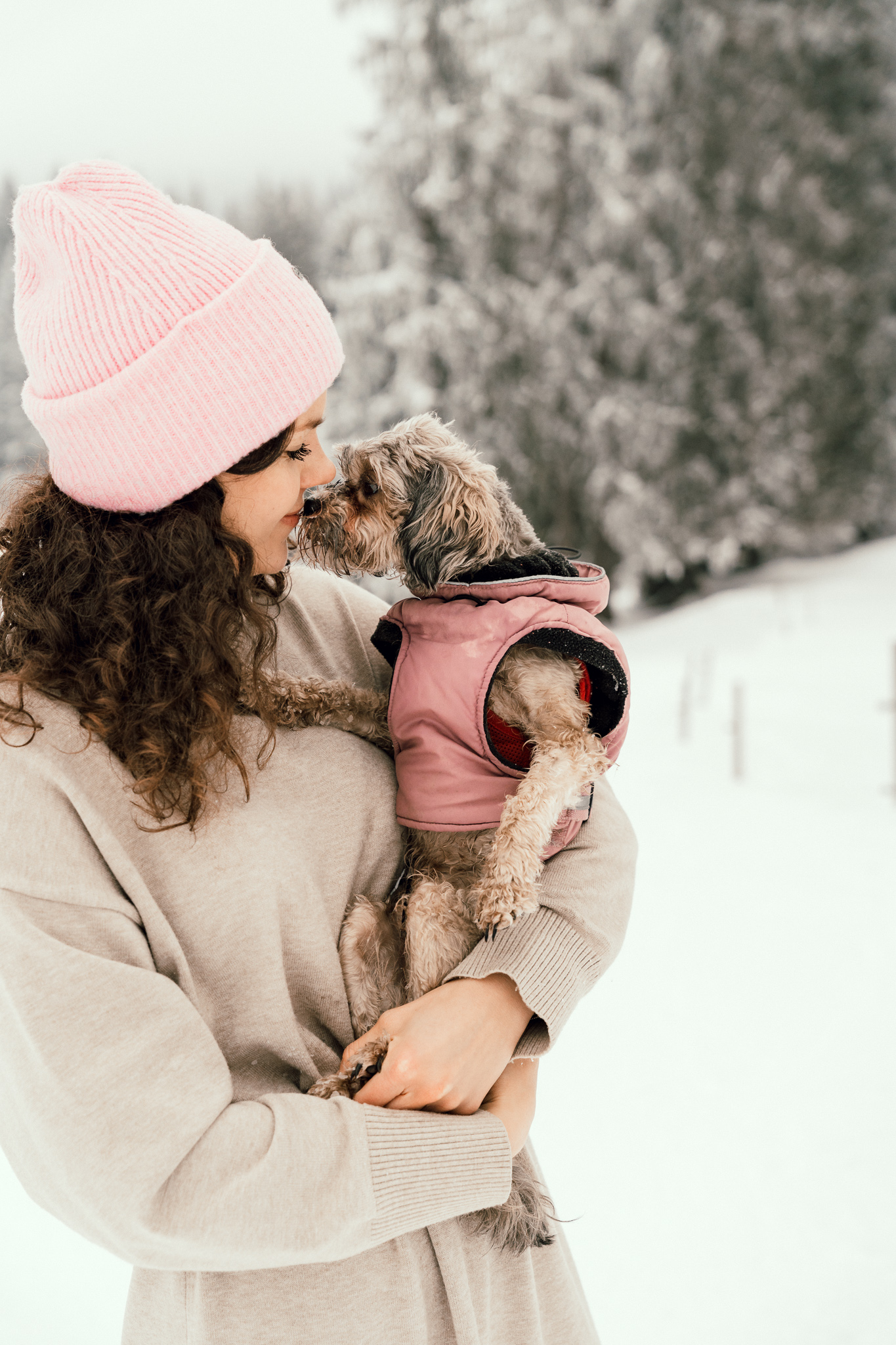 Hundefotografie im Schnee