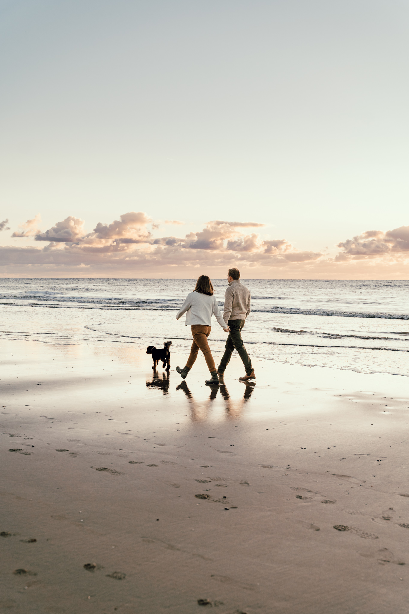Hundefotografie am Strand in Holland