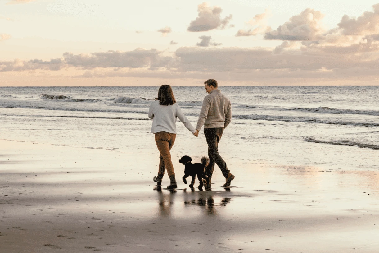 Hundefotografie-Holland