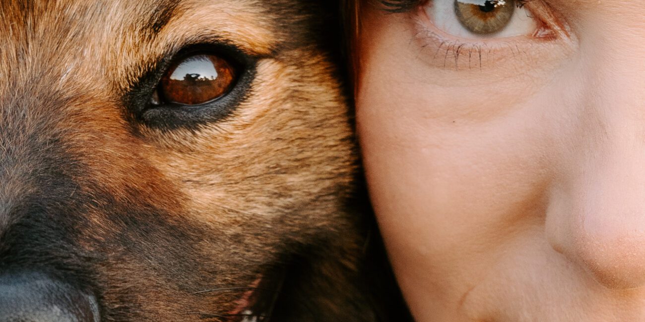 Hundefotos Köln