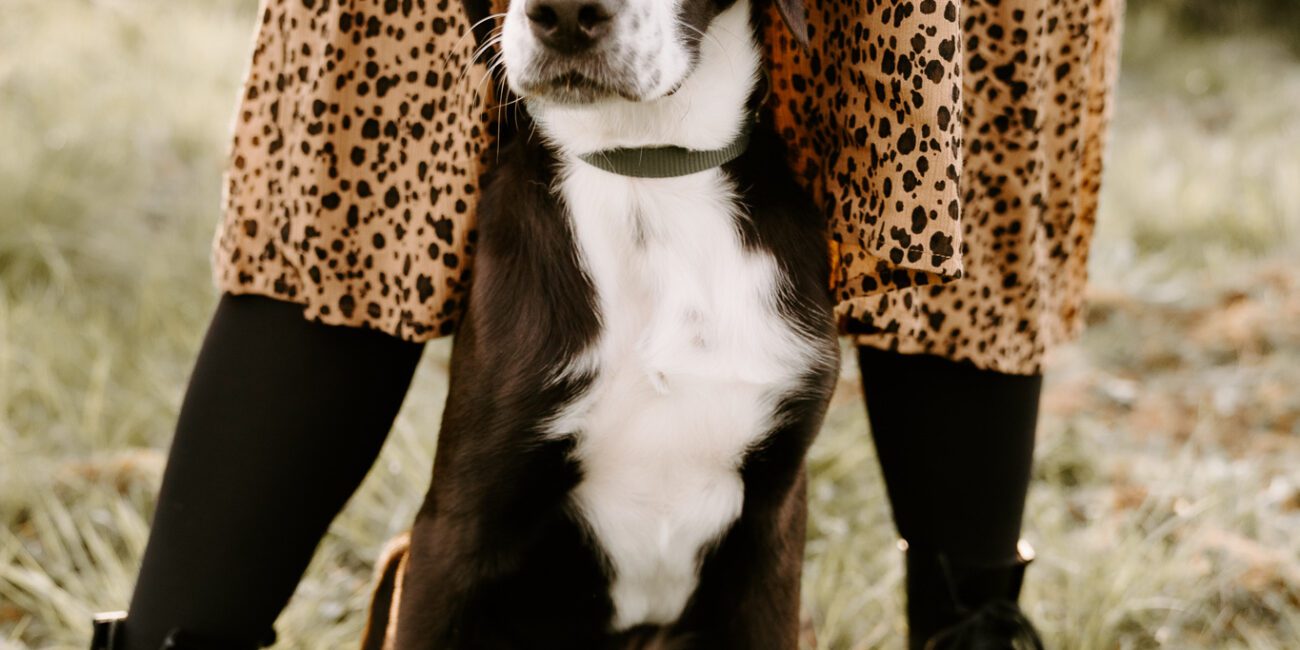 Hundefotos Köln