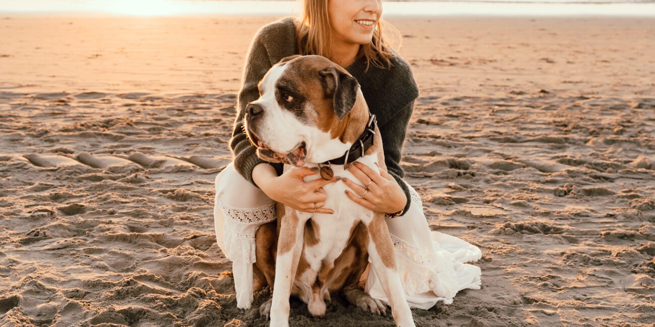 Hundehooting in Holland am Strand