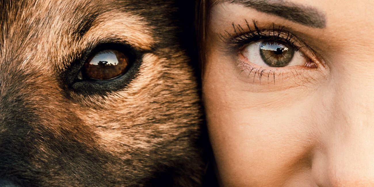 Hundeshootings in der Natur