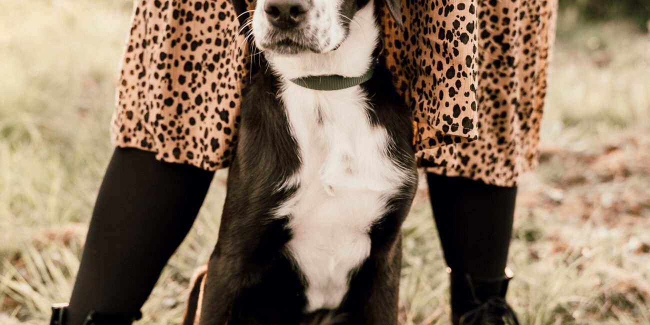 Hundeshooting in der Natur