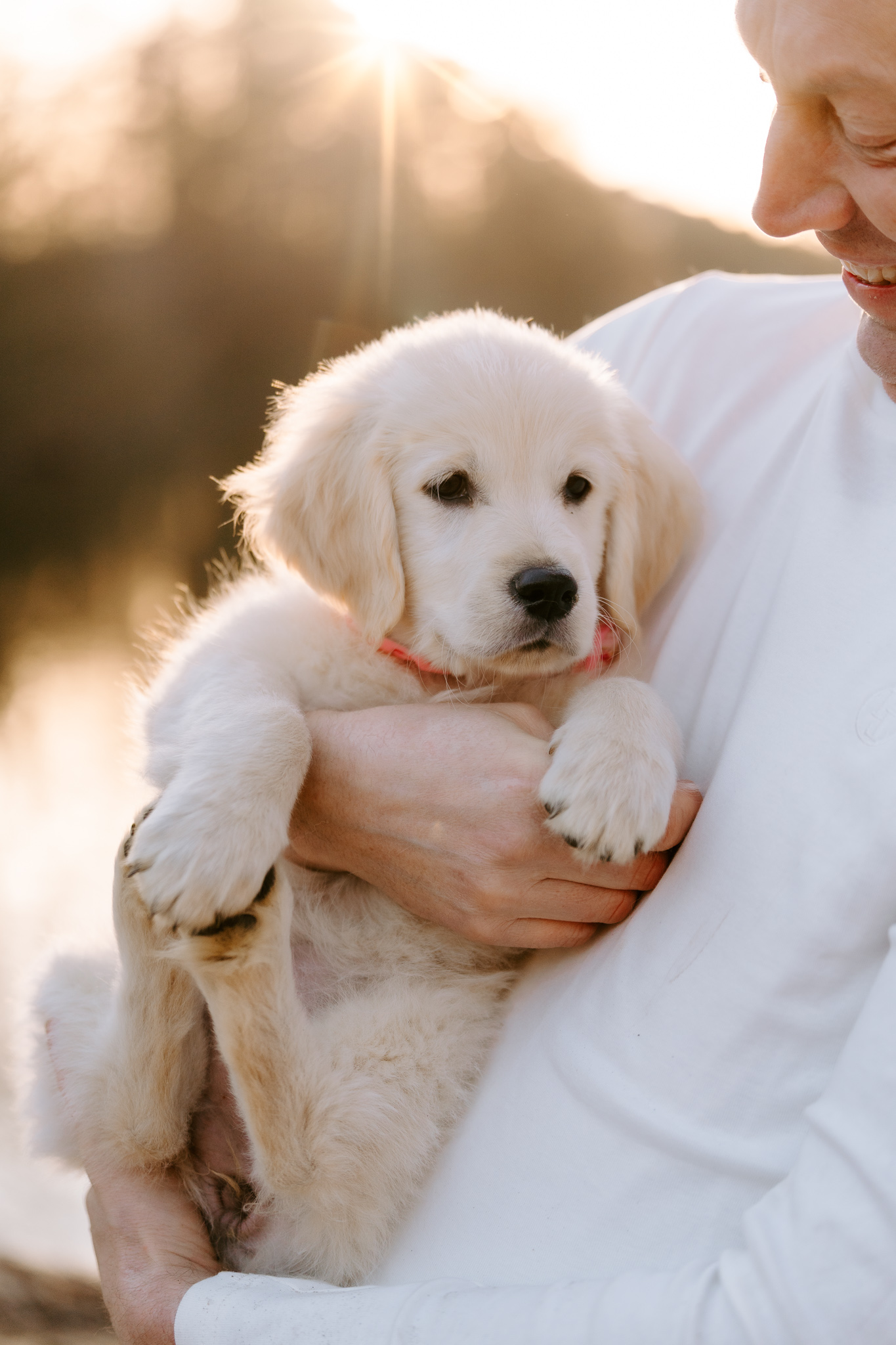 Welpenshooting Bergisch Gladbach