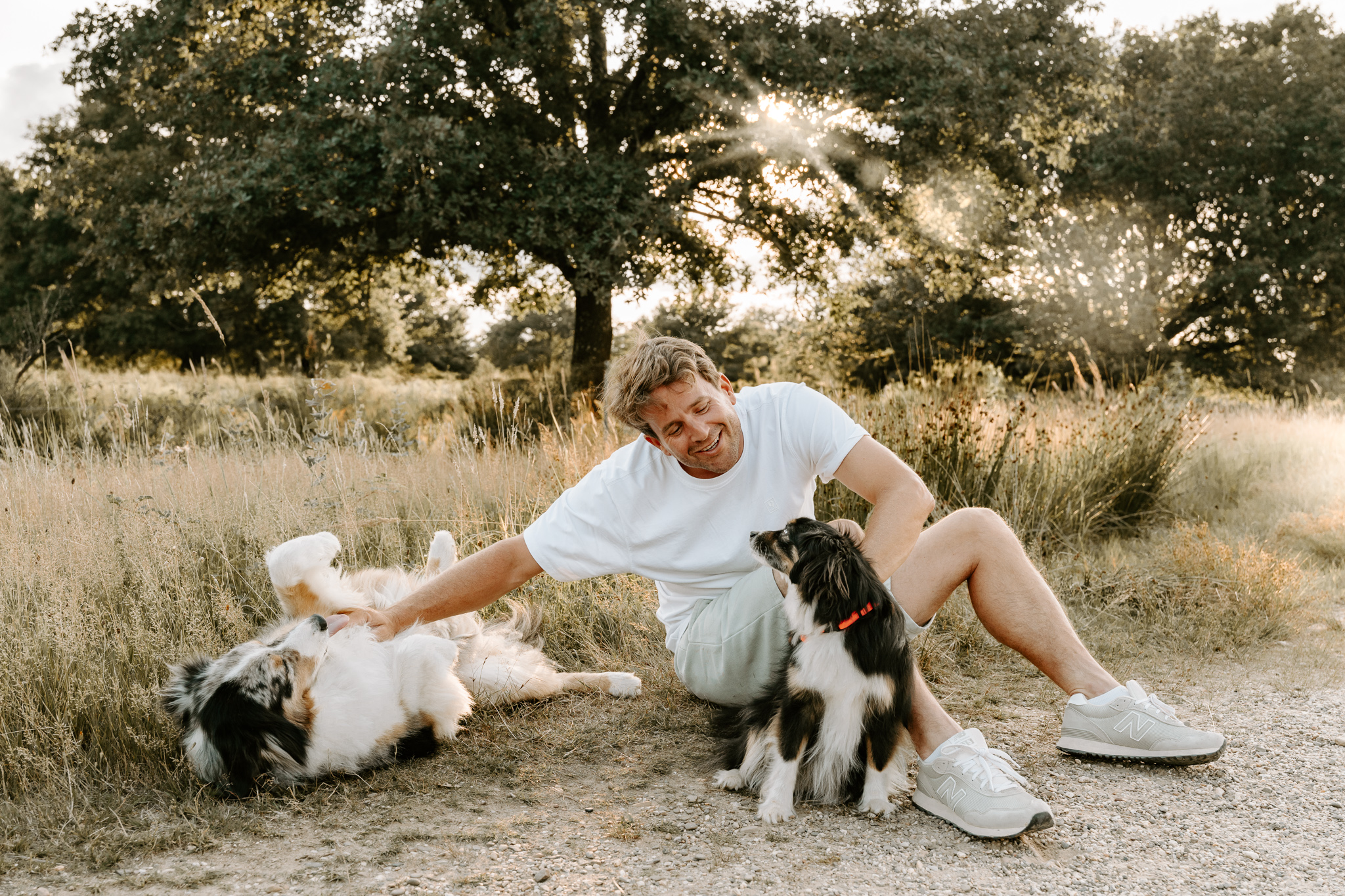 Hundefotografie in der Natur Köln