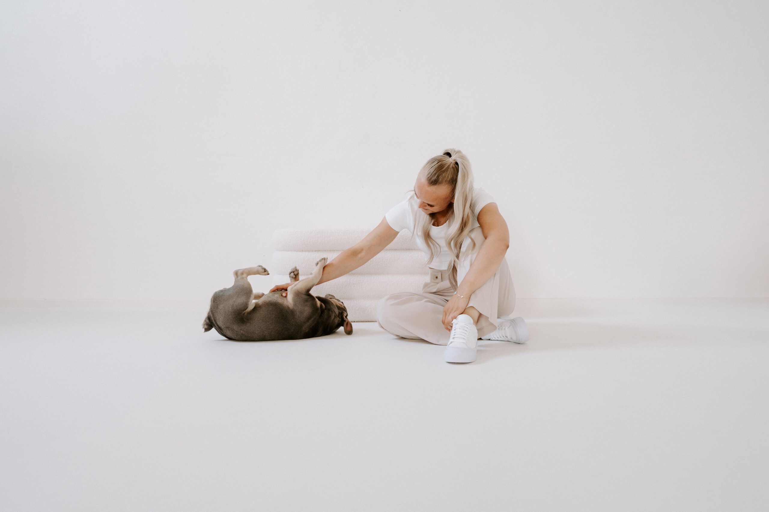 Hundefotografie indoor Köln