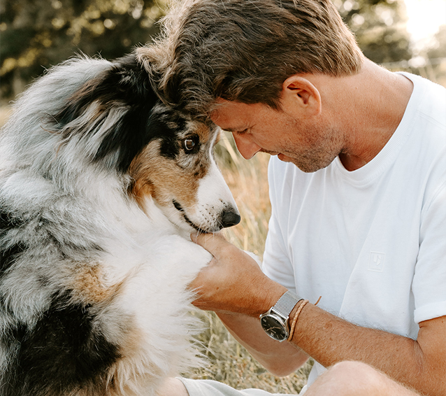 Hundefotografie Sankt Augustin