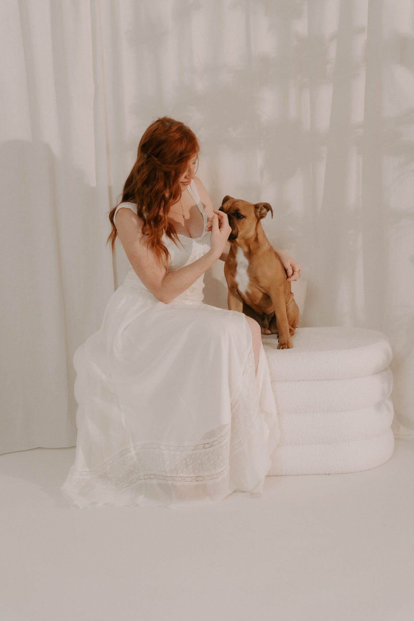 Hundefotografie im Studio Köln
