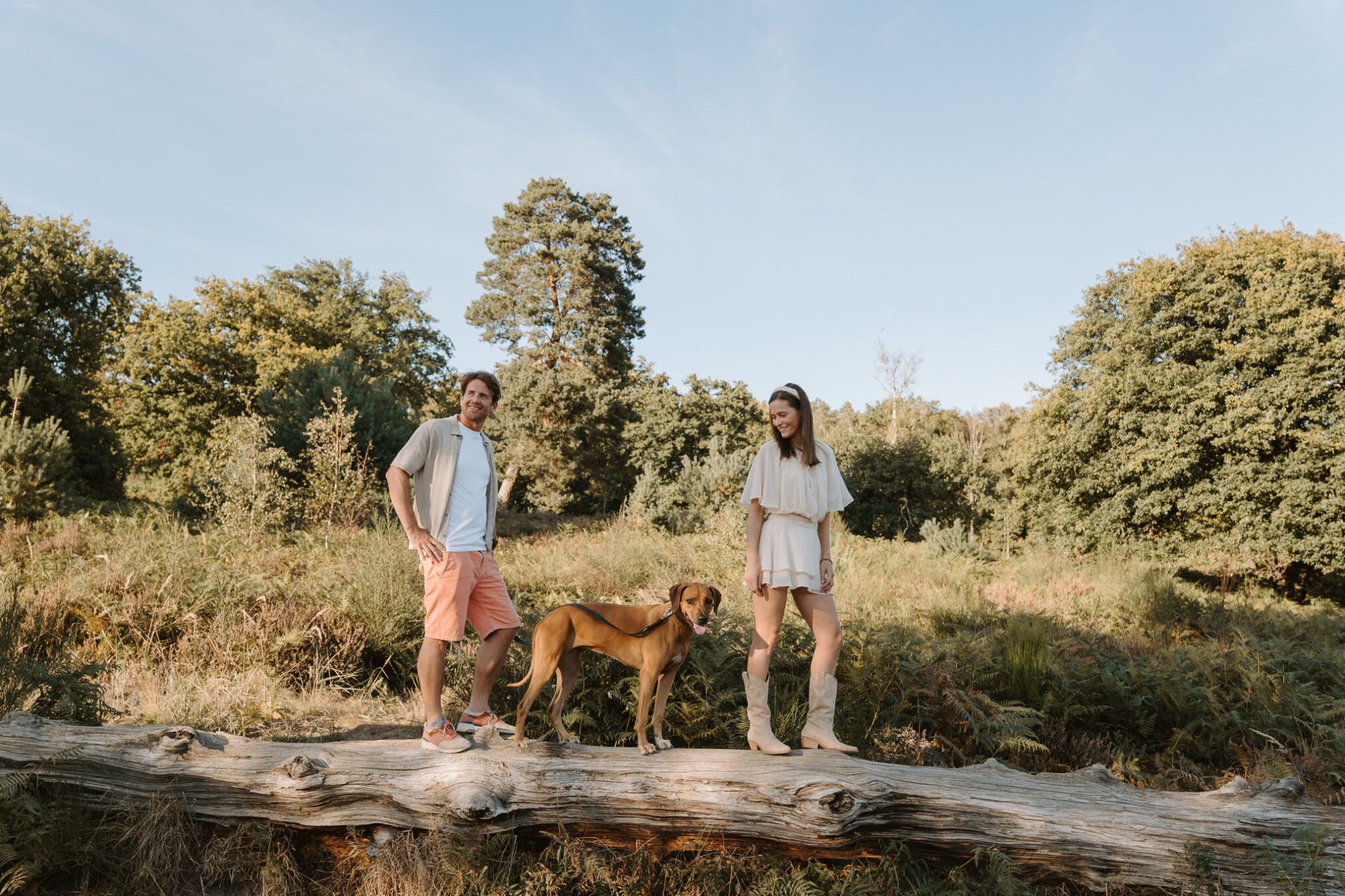 Hundefotografie Köln