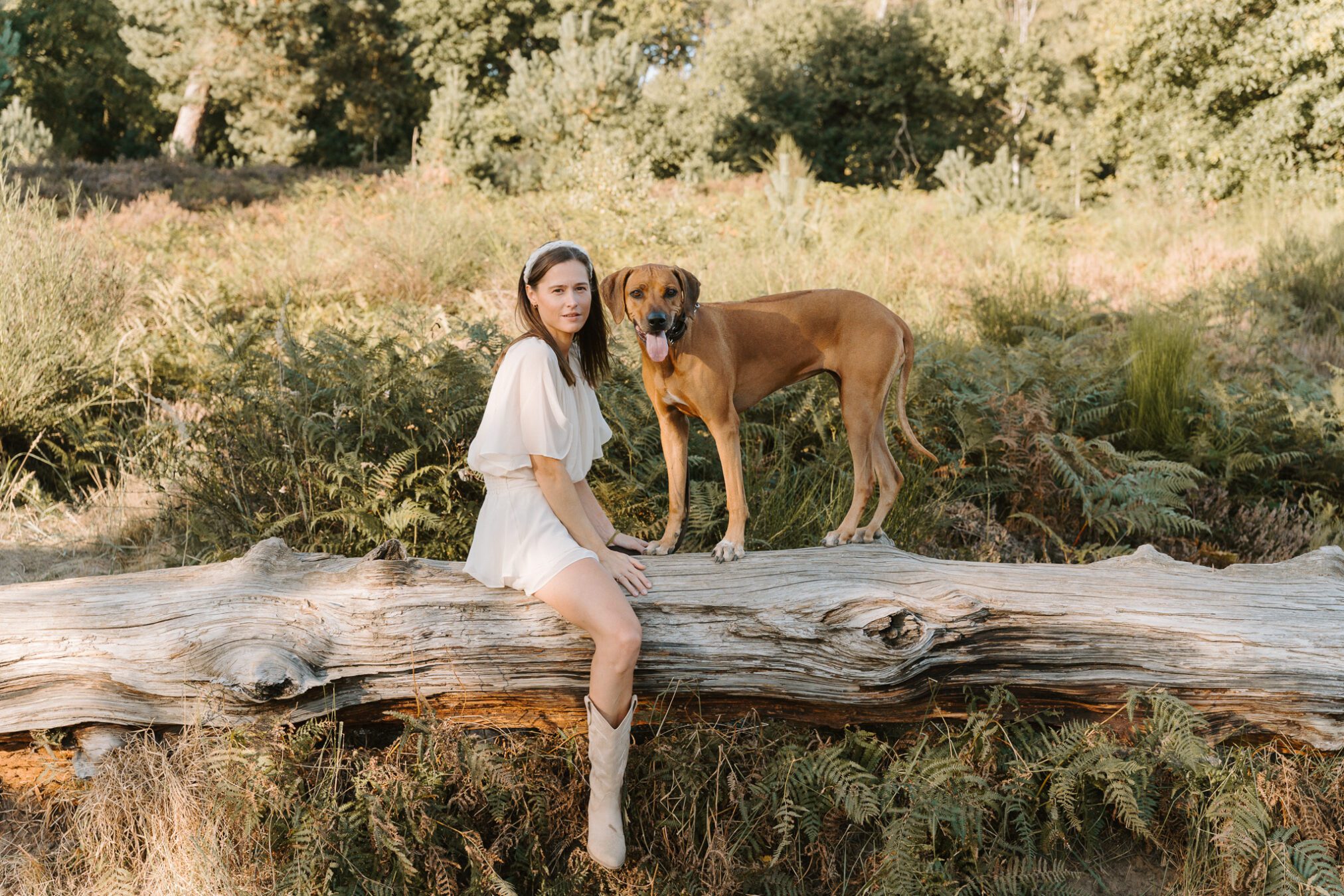 Hundefotografie Köln