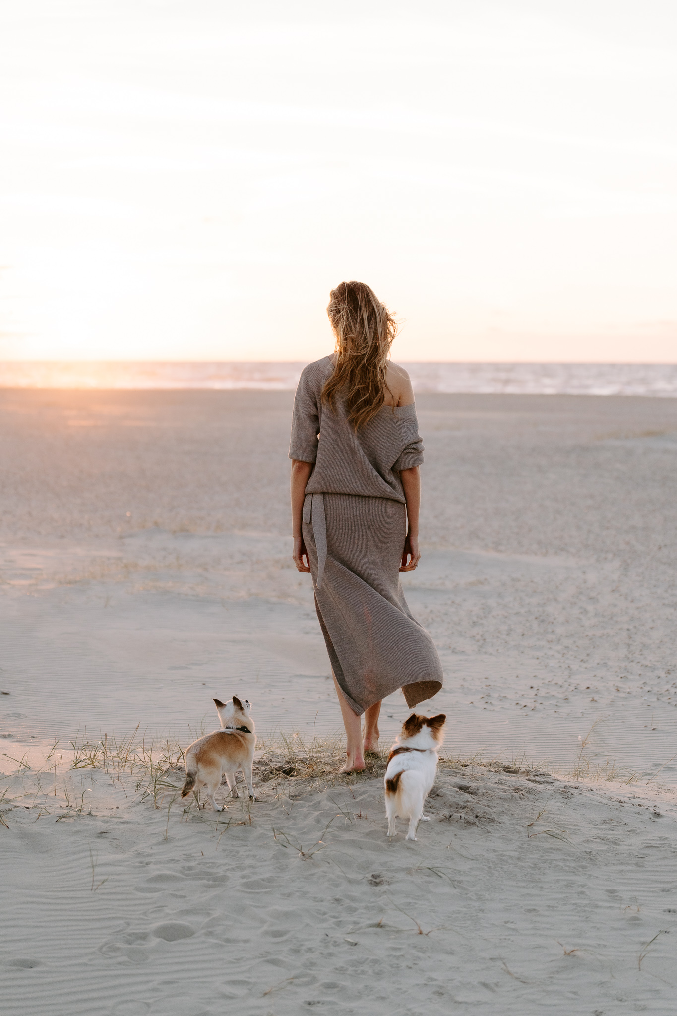 Hundefotografie Holland